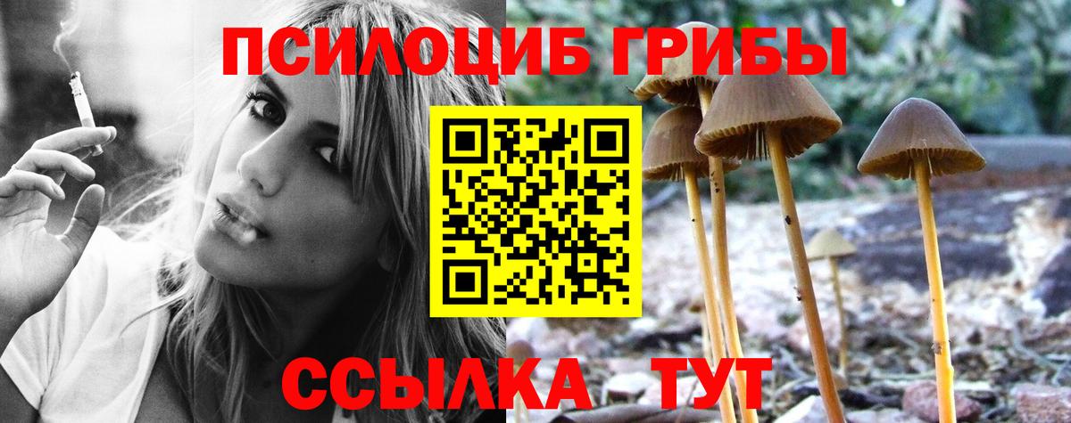 Галлюциногенные грибы мухоморы Юрга